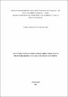 DISSERTAÇÃO_ PATRICIA BORGHI BRASILIO DE LIMA _MESTRADO EM DIREITO.pdf.jpg