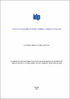 DISSERTACAO_CAROLINE MARIA VIEIRA LACERDA_MESTRADO EM DIREITO_2021.pdf.jpg