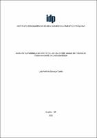 DISSERTACAO_ LUIZ ANTÔNIO SANTIAGO CORRÊA _MESTRADO_2022.pdf.jpg