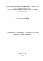 DISSERTAÇÃO_THALES LINHARES DE AZEVEDO_MESTRADO PROFISSIONAL EM DIREITO.pdf.jpg