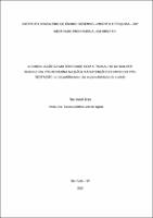 DISSERTAÇÃO_PILAR ATAIDE BRANT.pdf.jpg