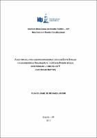 Dissertação_Flavio Jaime de Moraes Jardim.pdf.jpg