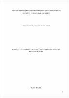 DISSERTAÇÃO_PAULO ROBERTO DA COSTA CASTILHO_MESTRADO PROFISSIONAL EM DIREITO.pdf.jpg