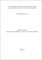 DISSERTAÇÃO_ PATRICIA QUEIROZ MADEIRA_MESTRADO EM DIREITO.pdf.jpg