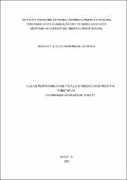 DISSERTACAO_NUBIA CASTILHOS_MESTRADO CONSTITUCIONAL_2022.pdf.jpg